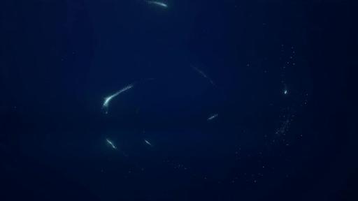 Seedance 2.5: On a clean deep-navy background, glowing liquid light and fine particles swirl inward and coalesce into a crisp, luminou
